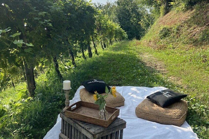 A picnic setup with a basket, a candle, and a cushion on a blanket in a grassy area. 3