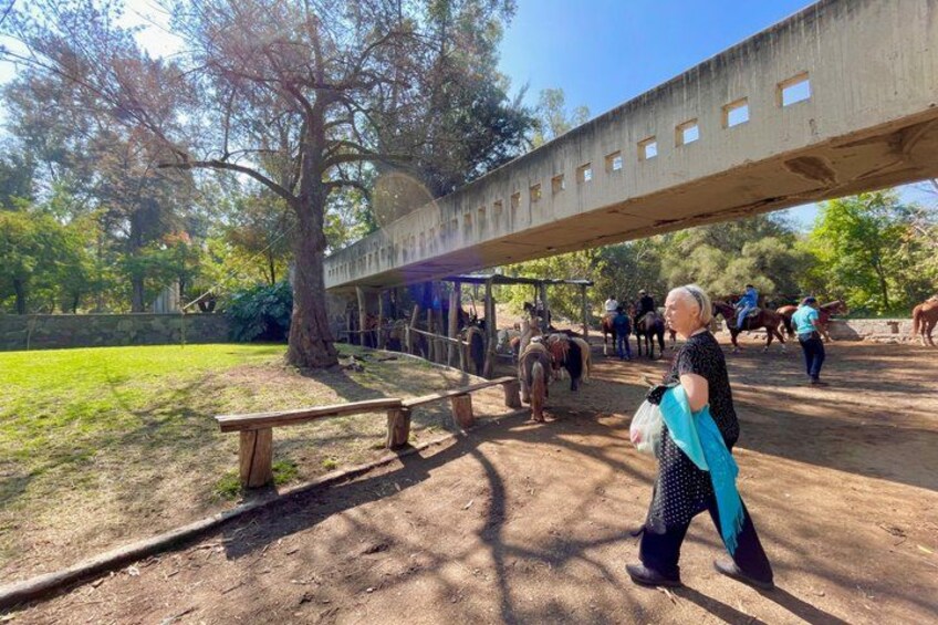 Una persona caminando por un sendero de tierra con caballos y un puente al fondo. 2