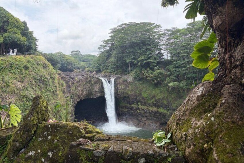 A waterfall in a lush, green forest. 4