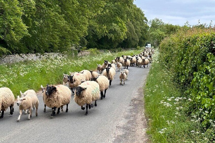 Rush hour! 3