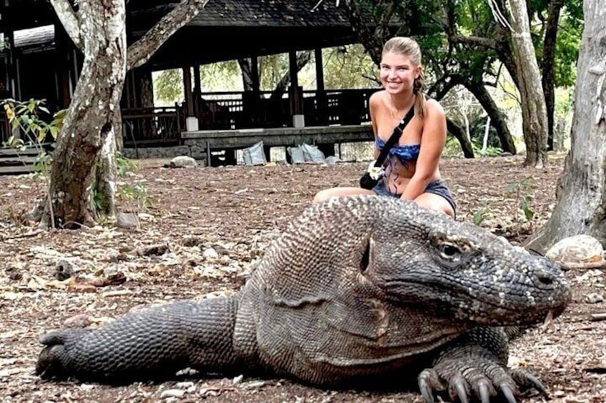 Komodo Tour Day Trip from Bali with Flight and Private Boat 2