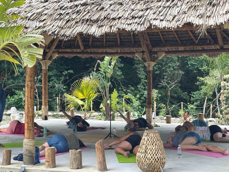 Un grupo de personas practica yoga al aire libre bajo una estructura con techo de paja, rodeado de vegetación tropical. 5