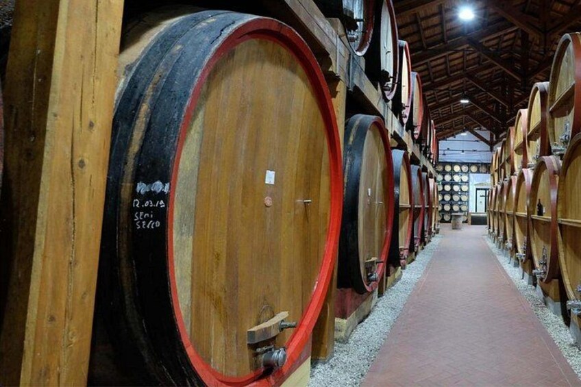 A row of wooden wine barrels in a cellar. 4