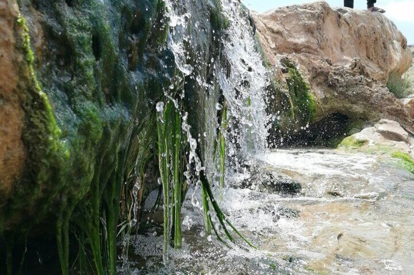 Una cascada que se precipita sobre rocas, rodeada de vegetación verde. 3