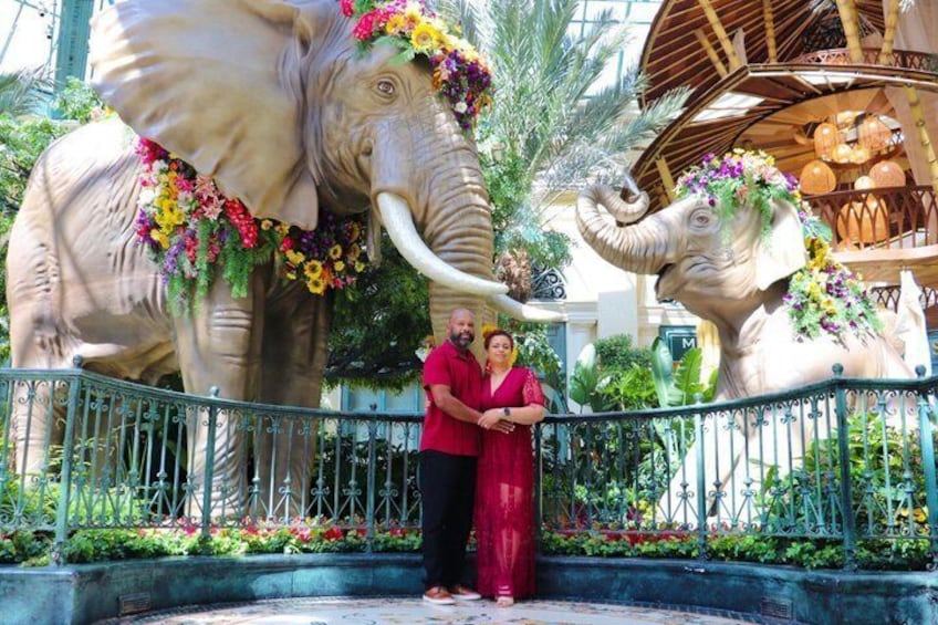 Las Vegas Strip Photo Tour with a Professional Photographer 3
