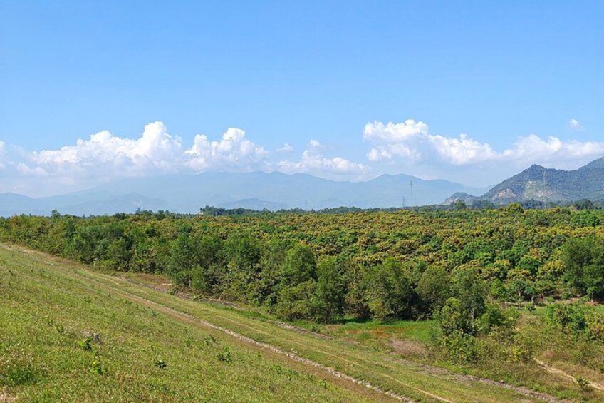 Nha Trang Mango Garden and Stream Retreat Private Day Trip 4