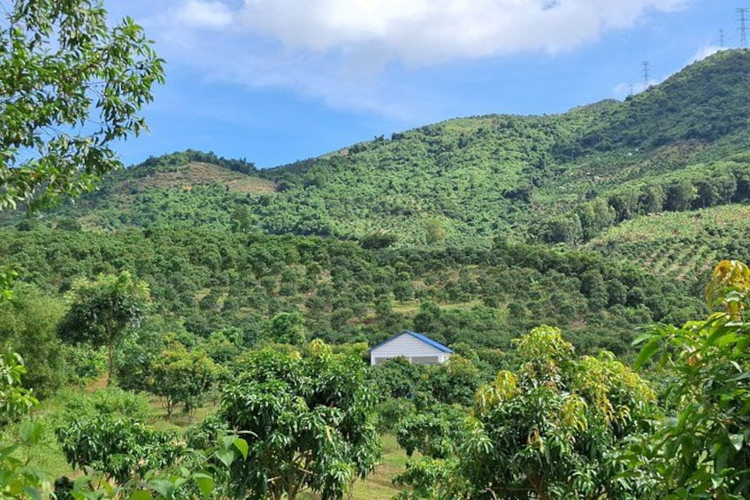 Nha Trang Mango Garden and Stream Retreat Private Day Trip 1