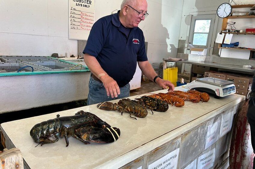 Private Peggys Cove, Mahone Bay & Lunenburg 6.5 Hour Tour 4