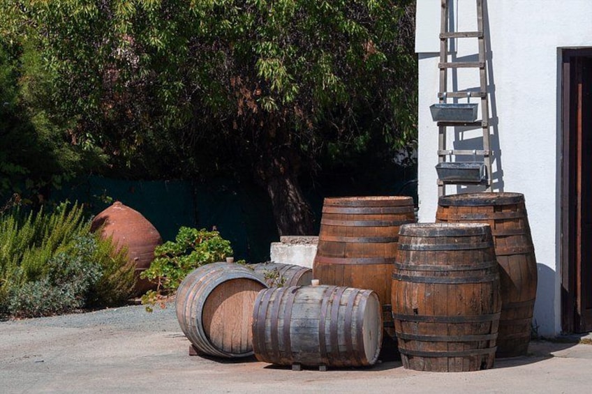 Crete Food & Wine Tour: Olive Oil, Cheese & Wine Tasting 3