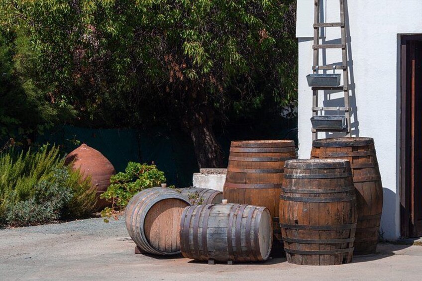 Crete Food & Wine Tour: Olive Oil, Cheese & Wine Tasting 4
