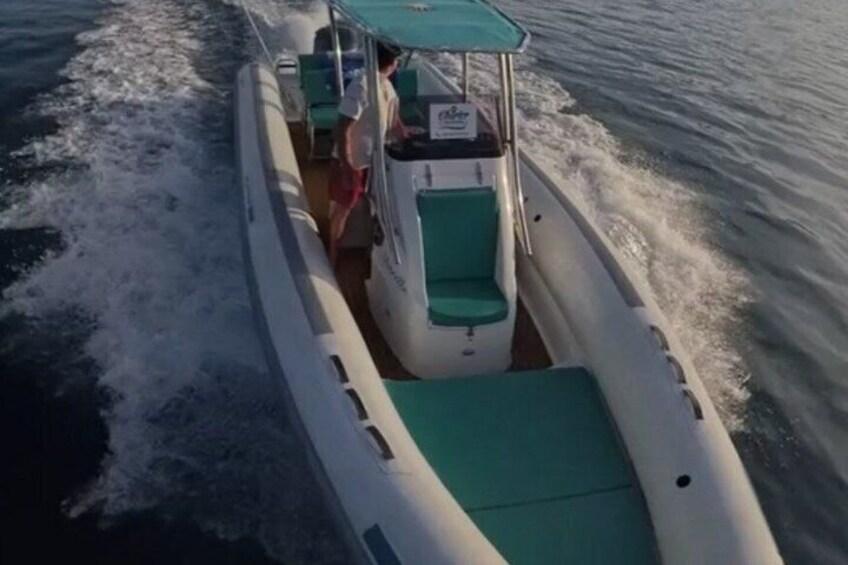 A motorboat with a green canopy and a person standing at the back. 4