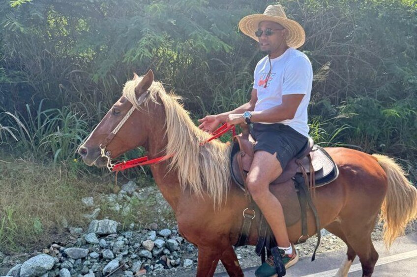 Una persona montando un caballo marrón con una brida roja sobre un camino pavimentado. 4
