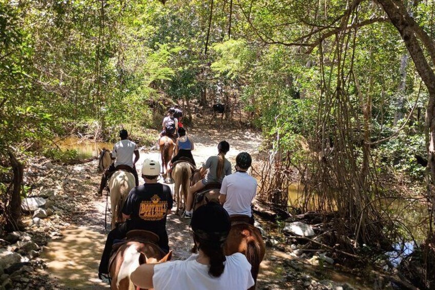 Un grupo de personas montando caballos por un sendero en un bosque. 3