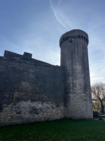 A stone castle with a round tower and a grassy courtyard. 2