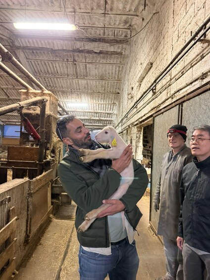 A person holding a piglet in a barn with wooden walls and machinery. 1
