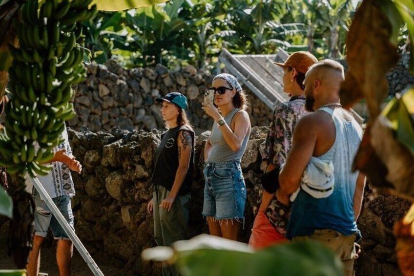 Un groupe de personnes se tient à l’extérieur, près d’un mur de pierre, avec de la verdure et une structure métallique en arrière-plan. 2