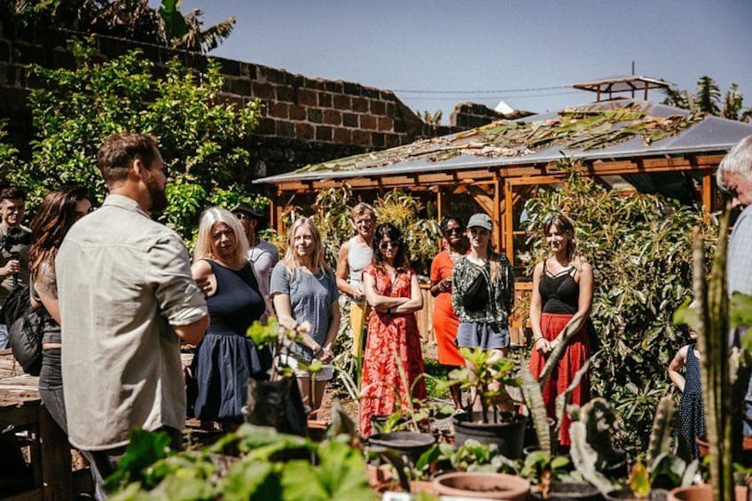 Tenerife's Hidden Oasis Cover: Sustainable Farm Tour 2