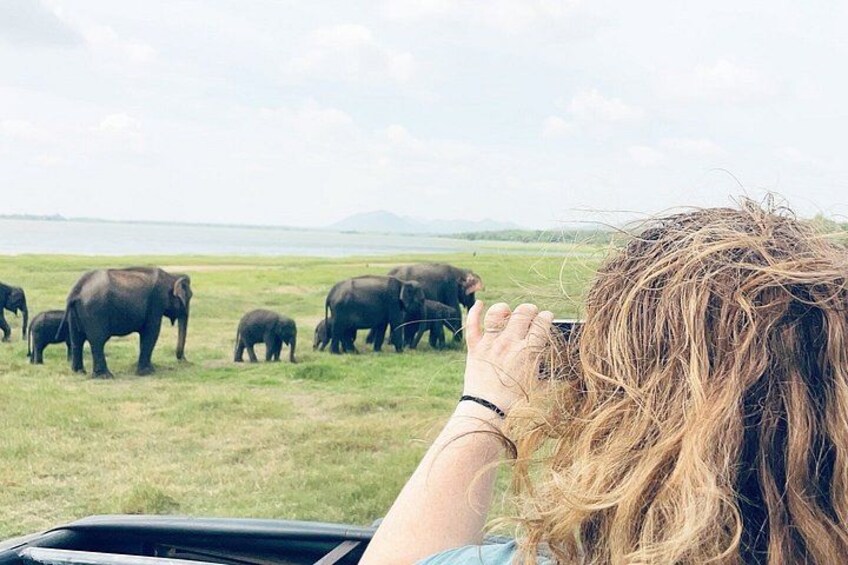 A person observing elephants in a grassy field. 1