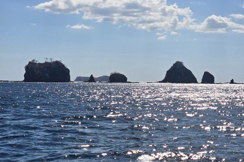 Private Snorkeling Tour 4