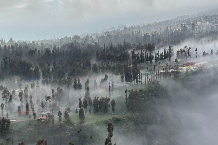 Un paysage boisé où l’on voit de la fumée s’élever, probablement à cause d’un incendie. 4