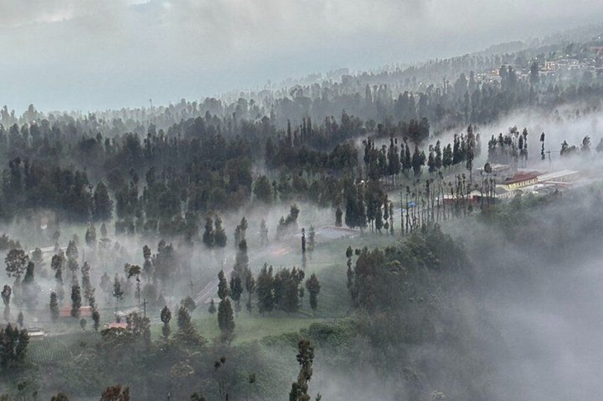 A forested landscape with smoke or mist, buildings, and a hilly terrain. 4
