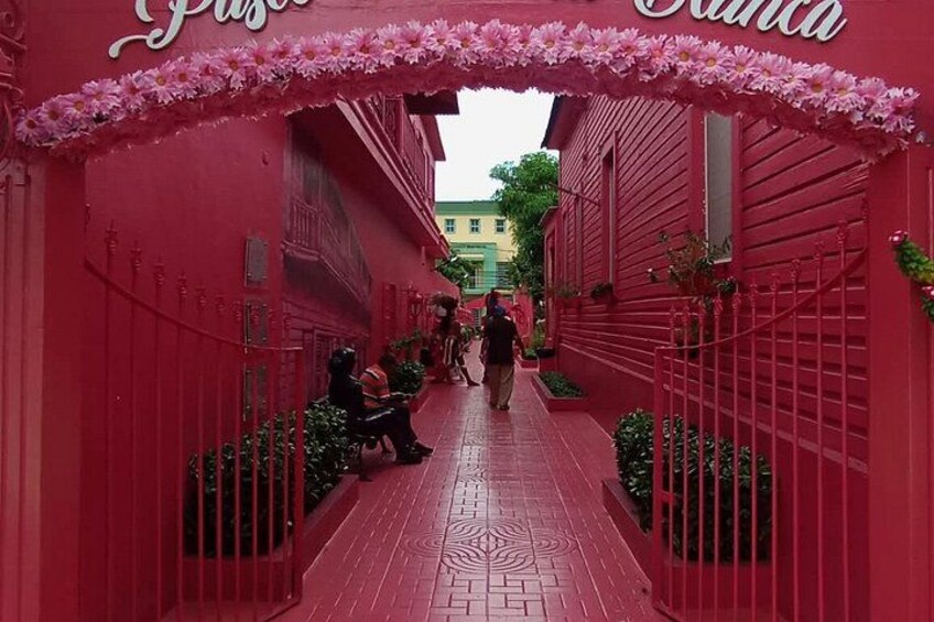 A red pathway with a floral archway, benches, and a person walking. 5