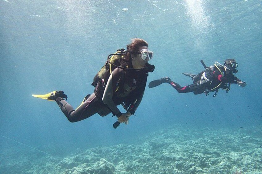 Two scuba divers underwater with fins and tanks. 1
