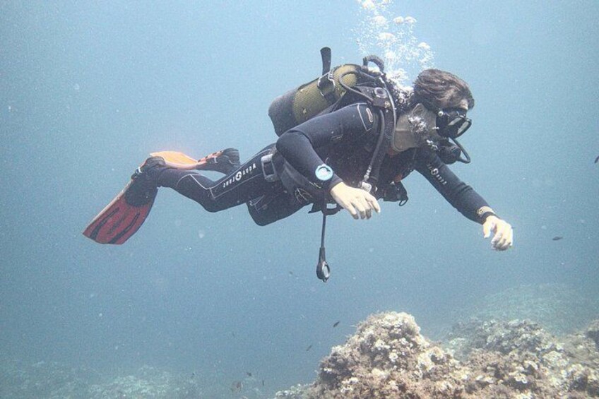 A person scuba diving with fins and a backpack. 5