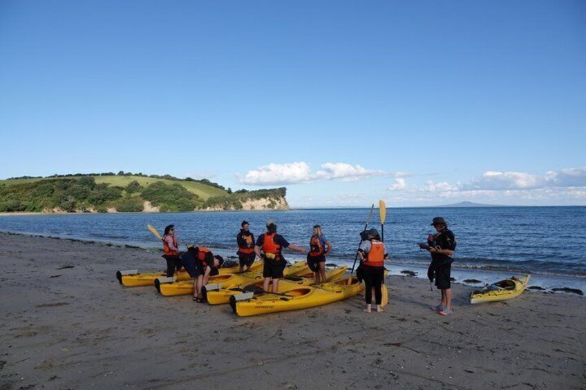 A group of people preparing kayaks on a beach with a view of the sea and hills in the background. 2