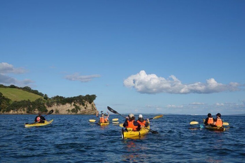 A group of people kayaking on a calm sea with a coastline in the background. 3