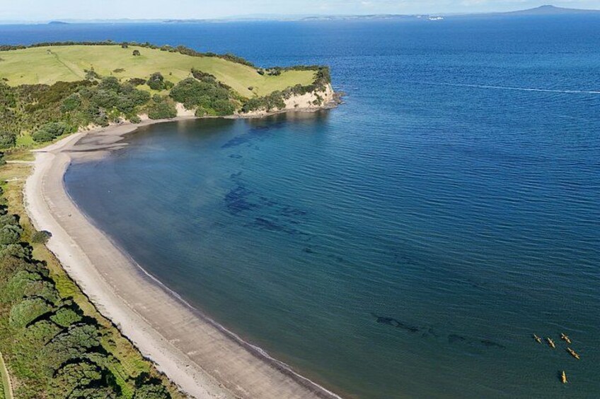 Auckland Tiritiri Matangi Island Sea Kayak and Penguin Tour 4