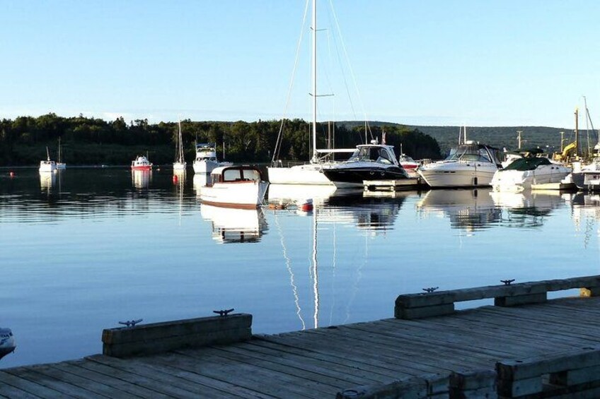 A calm harbor with several boats docked, a wooden pier, and a forested hill in the background. 2