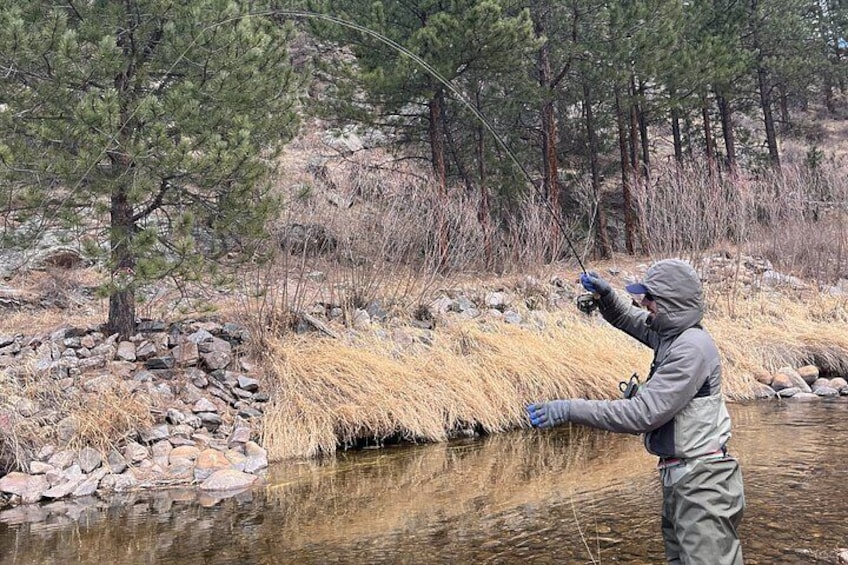 A person fishing by a river with rocks and pine trees in the background. 5