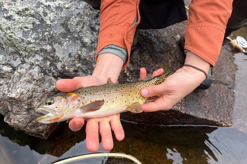 A person holding a fish. 3