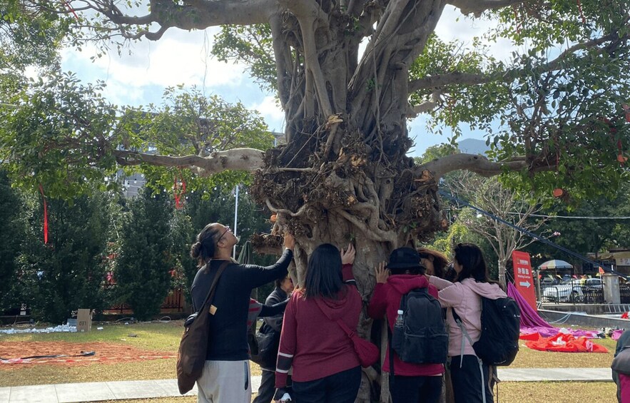 A group of people examining a large tree with extensive roots and branches. 2