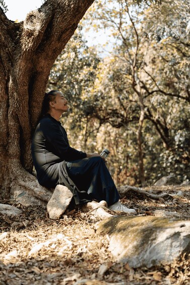 A person sitting on a rock under a tree in a wooded area. 3