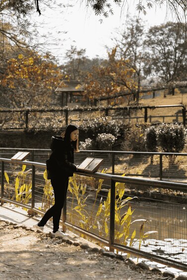 A person walking along a path with a fence and yellow plants. 4