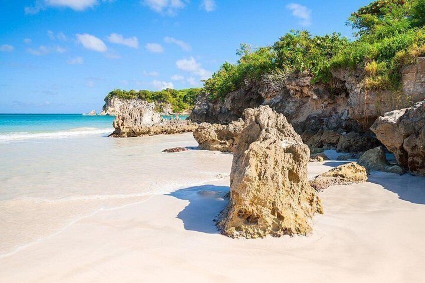 Punta Cana Half-Day Cultural Safari with Lunch and Drinks 3
