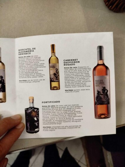 A wine bottle with a label and a hand holding a booklet with wine descriptions. 5