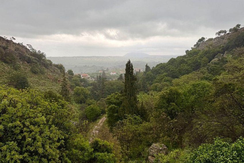 Private Tour of East Chania Discover Crete's Hidden Gems 5