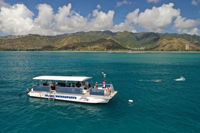 Oahu: SEABOB & Turtle Snorkeling Adventure 3