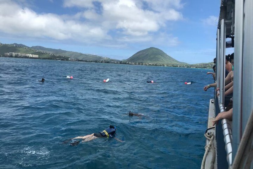 Oahu: SEABOB & Turtle Snorkeling Adventure 4