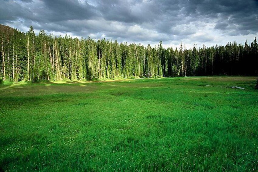 Mirror Lake & Uinta Mountains Half-Day Tour from Park City 2