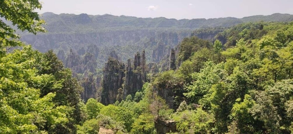A forested valley with tall, narrow rock formations. 5