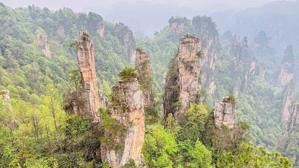 Towering limestone peaks amidst a dense forest. 1