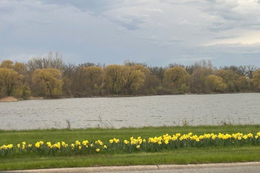 A river with a grassy bank and yellow flowers in the foreground. 2