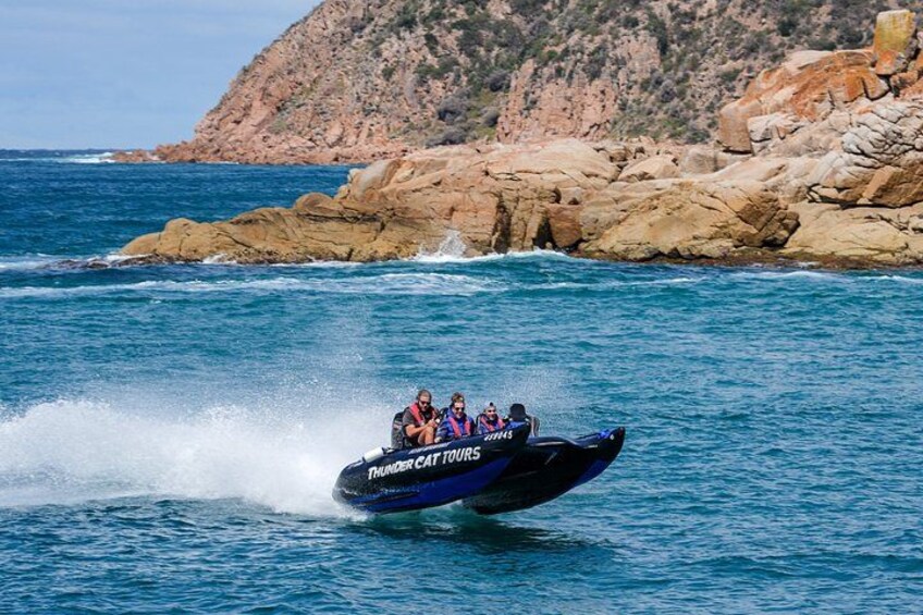 Phillip Island High Speed Sea Caves Boat Tour with Seal Sighting 1