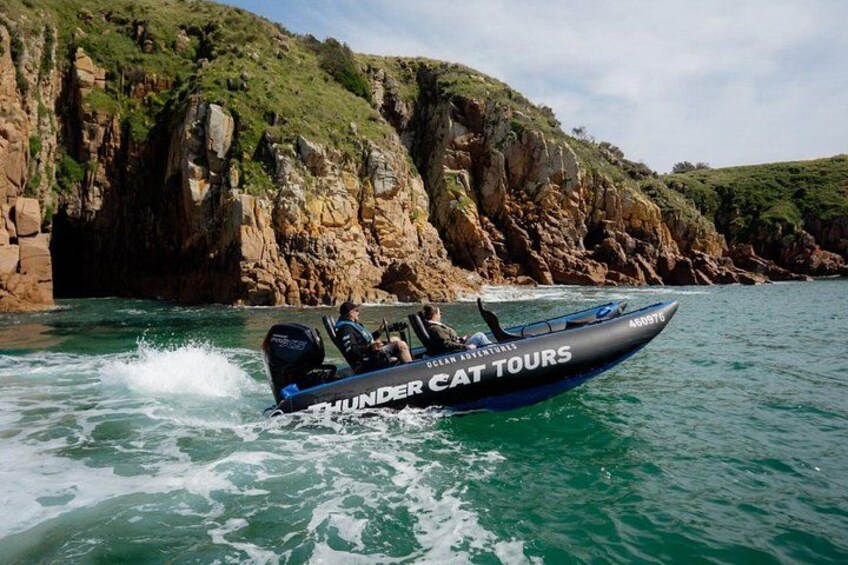 Phillip Island High Speed Sea Caves Boat Tour with Seal Sighting 2