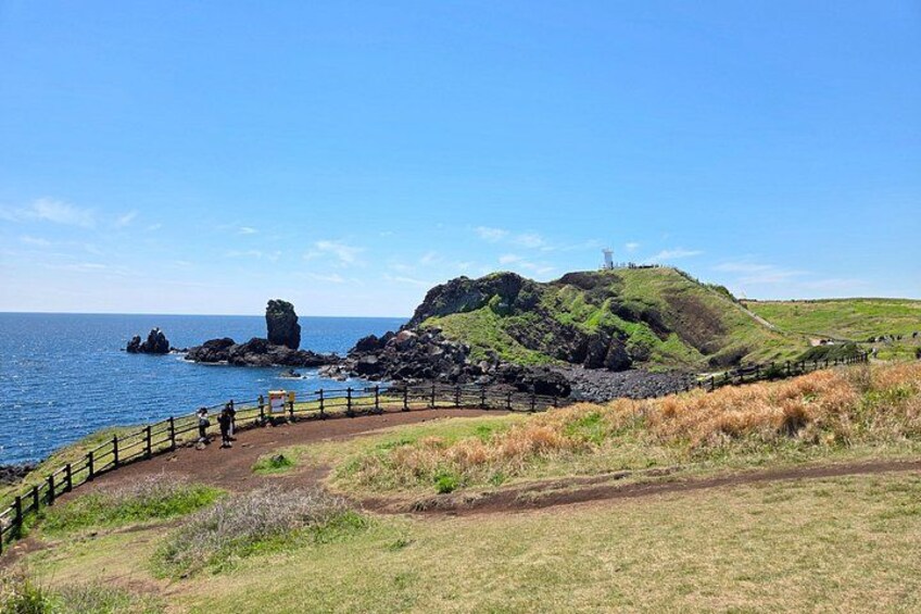 Jeju East UNESCO Tour & Haenyeo Show 3