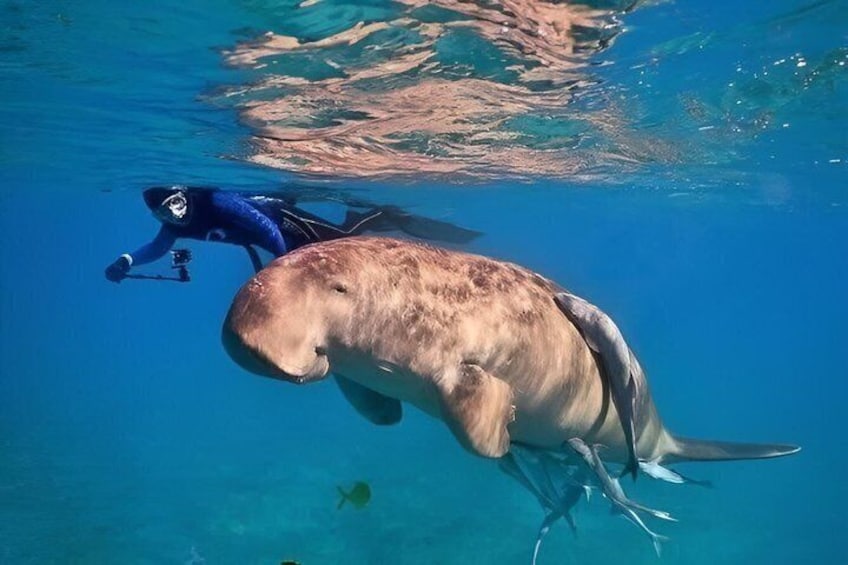 Sharm El Luli Beach Day Trip with Snorkeling Adventure 1